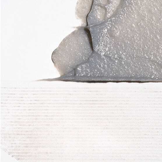 CHARCOAL+COCONUT OIL SHMP